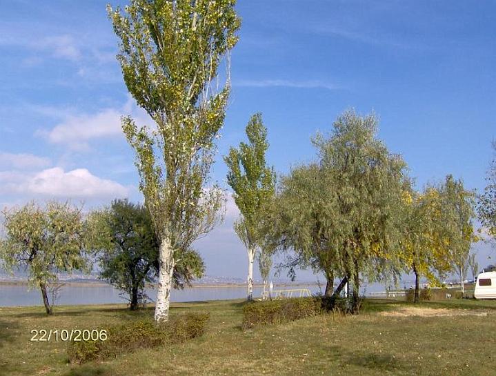 04.JPG