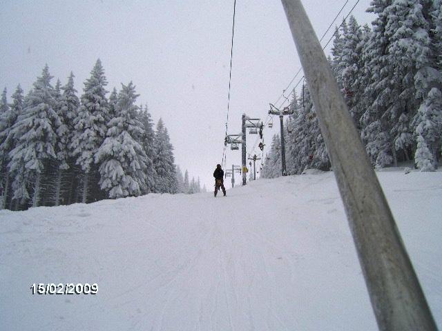 063.JPG
